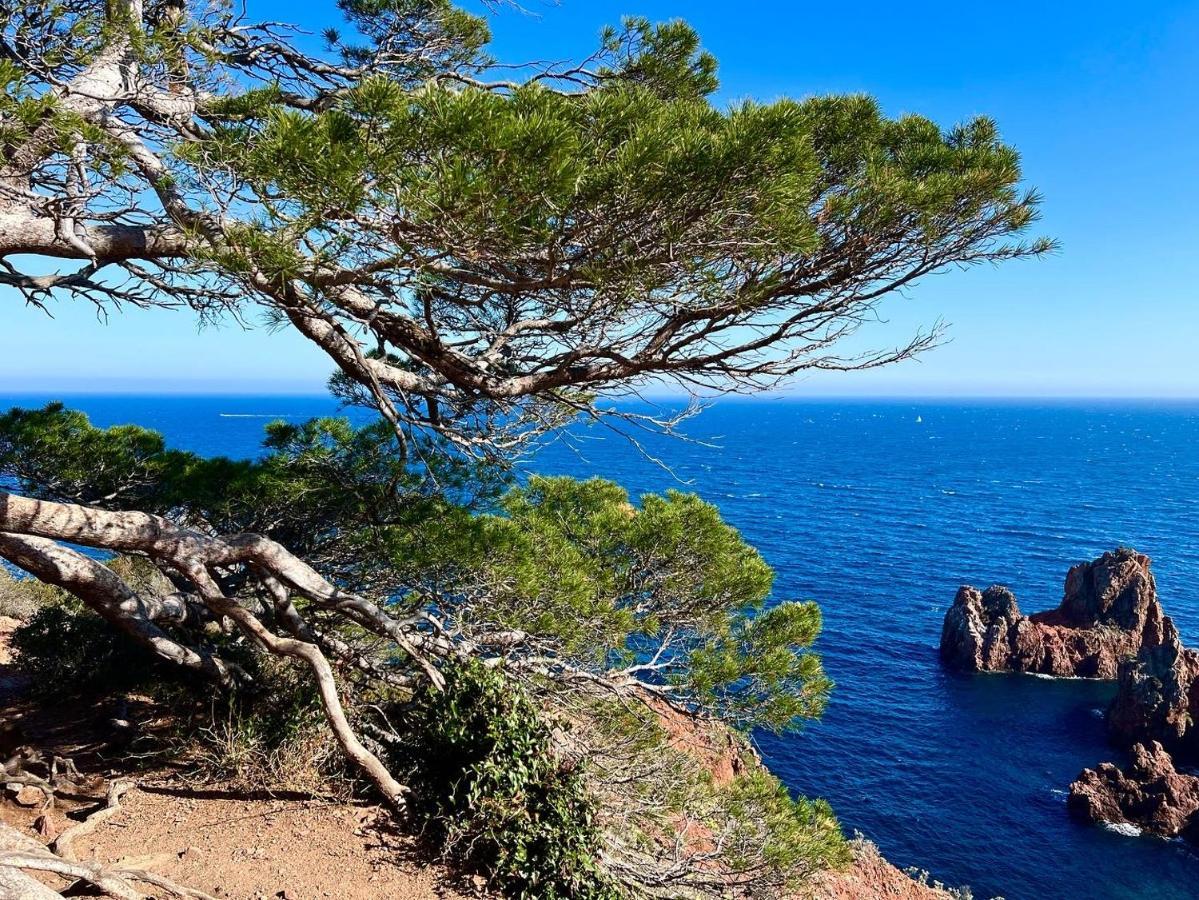 Les Cactus Frejus Plage Zewnętrze zdjęcie