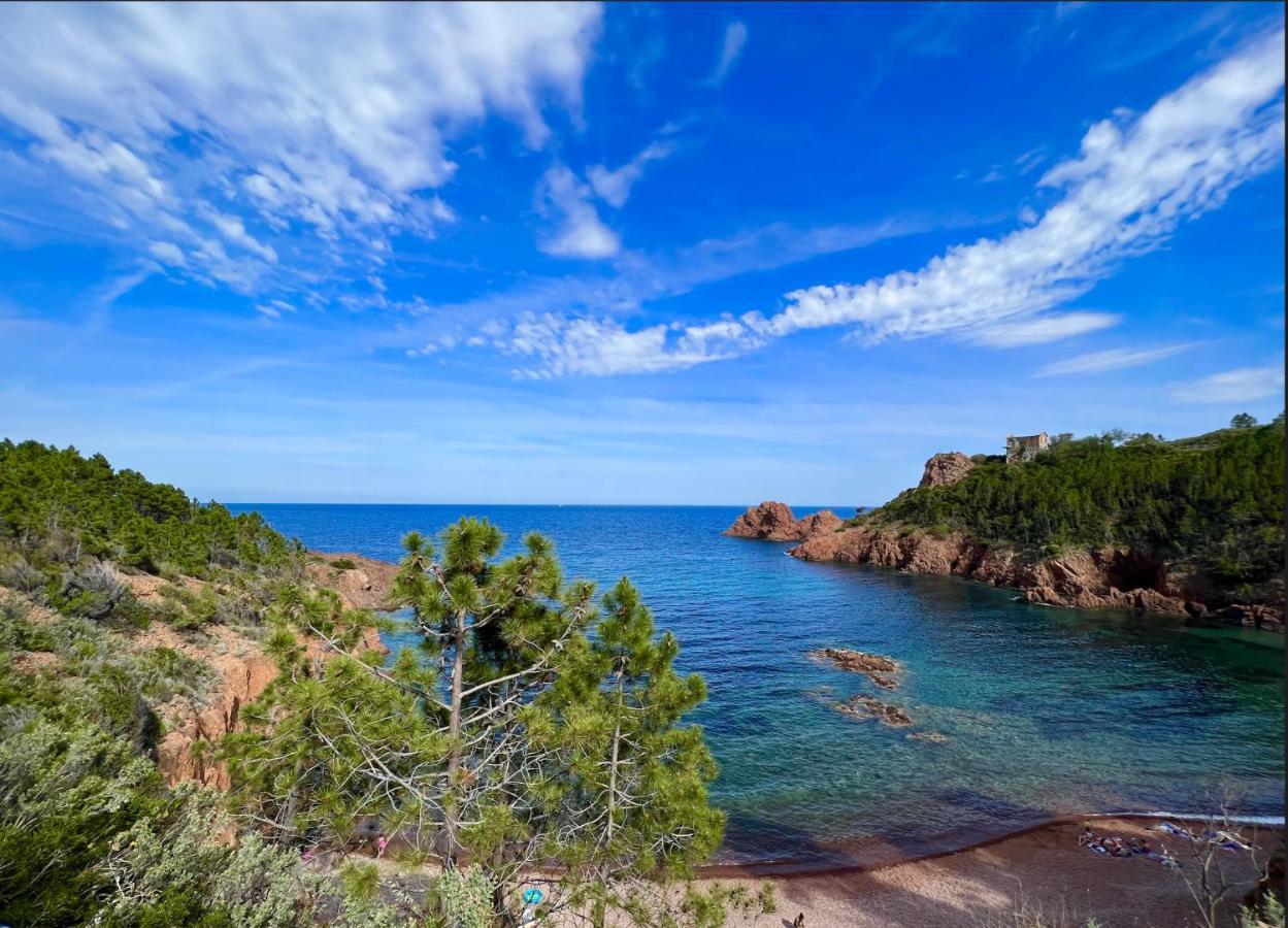 Les Cactus Frejus Plage Zewnętrze zdjęcie