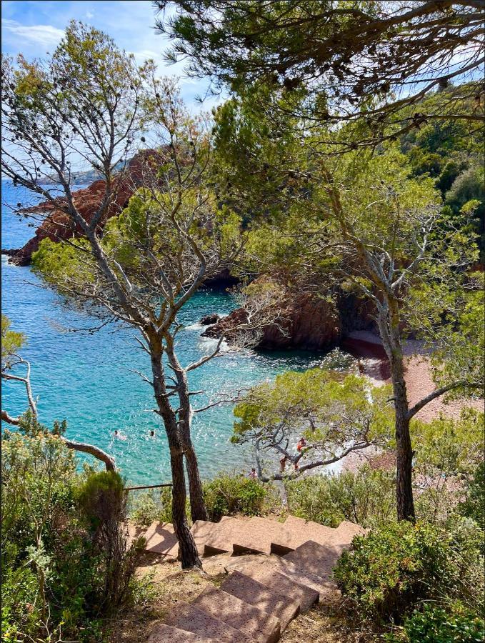 Les Cactus Frejus Plage Zewnętrze zdjęcie
