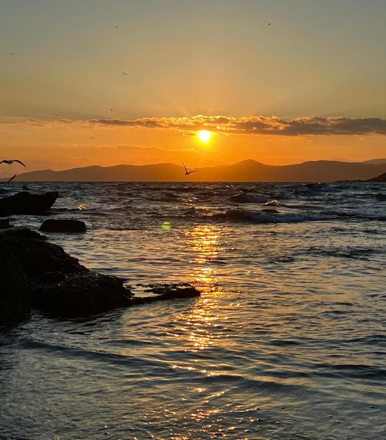 Les Cactus Frejus Plage Zewnętrze zdjęcie