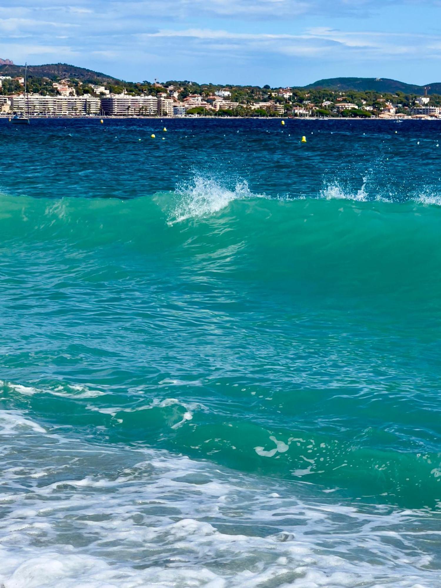 Les Cactus Frejus Plage Zewnętrze zdjęcie